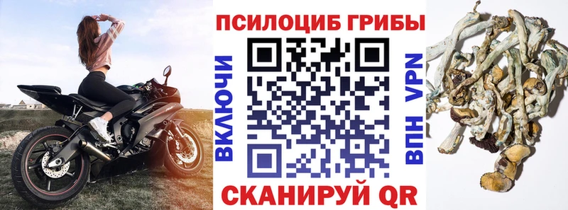 Галлюциногенные грибы Cubensis  наркотики  Владикавказ 