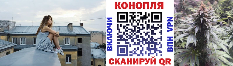 Бошки марихуана индика  наркотики  блэк спрут ONION  Владикавказ 